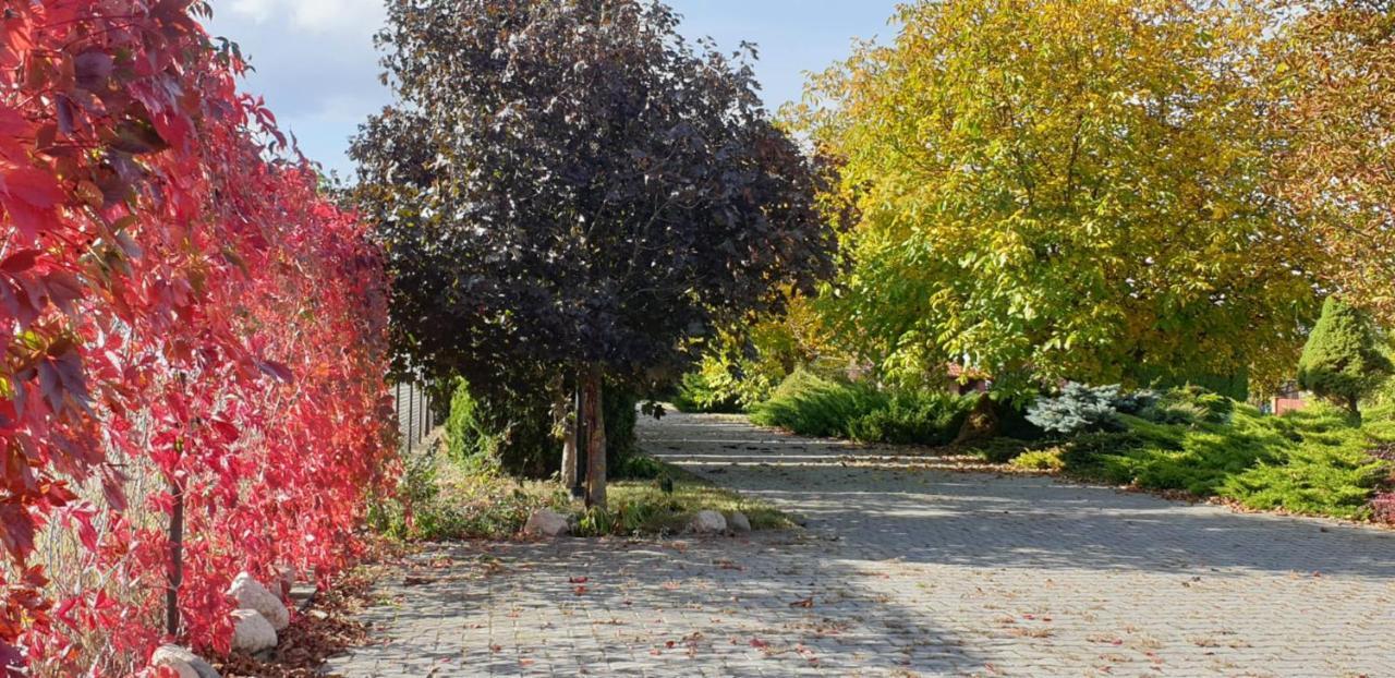 Bialowolskie Wzgorze Zamość Εξωτερικό φωτογραφία